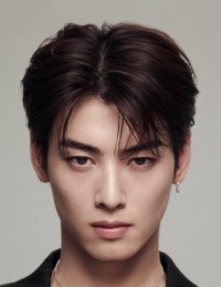 Дорамы с Чха Ын У