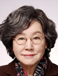 Дорамы с Пан Хё Чжон