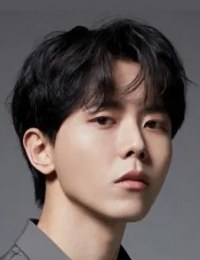 Дорамы с Чу У Дже