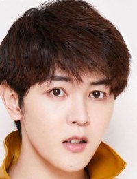 Дорамы с Дай Цзин Яо