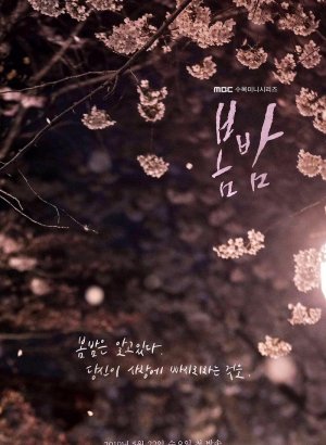 Весенняя ночь