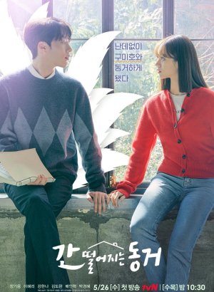 Мой сосед – кумихо