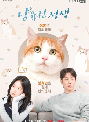 https://softbox-dorama.org/uploads/posts/2026-05/koshachja-vojna.jpg